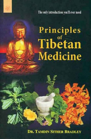 Principles of Tibetan Medicine: The only introduction you will ever need by Tamdin Sither Bradley