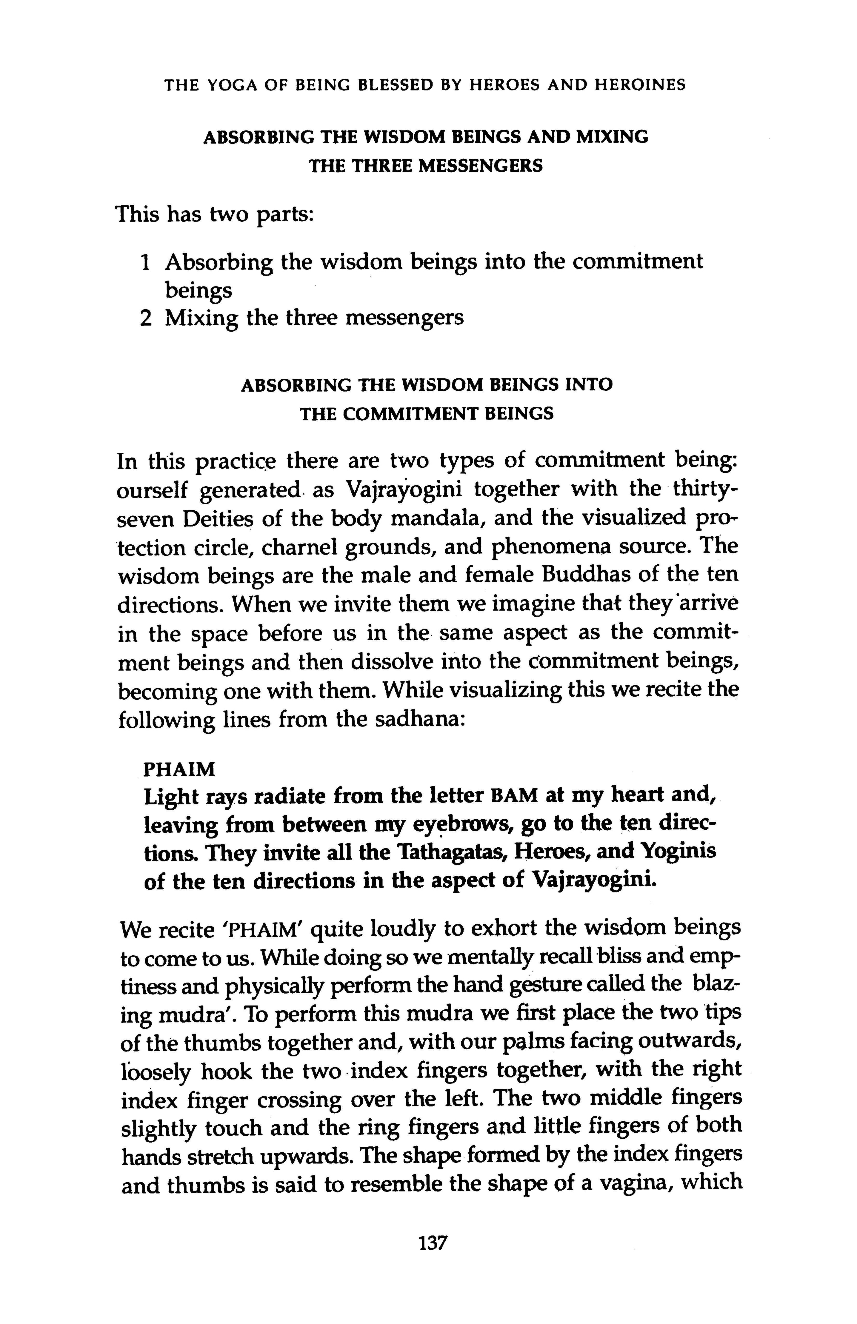 Guide to Dakini Land