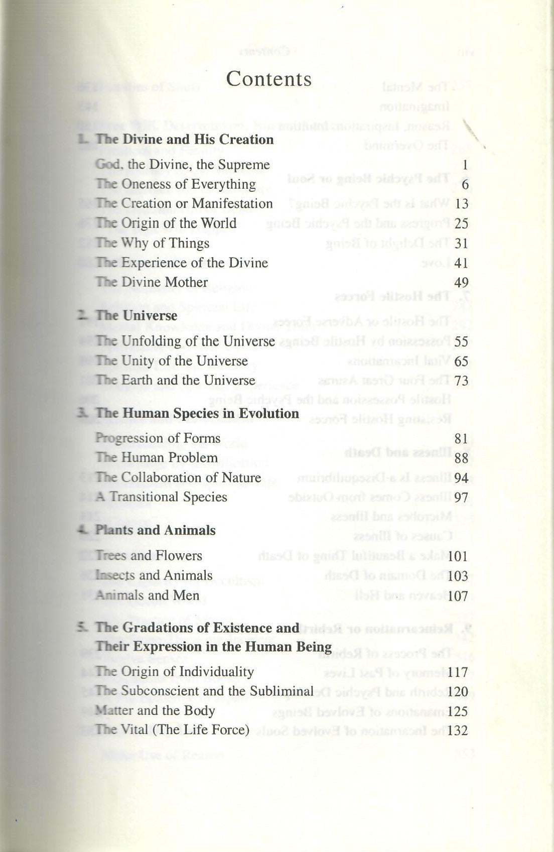 The Mother's Vision (2005)