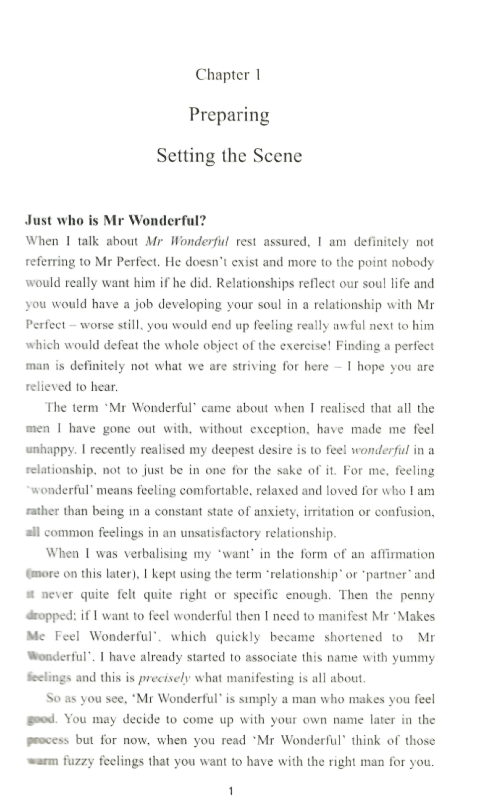 Manifesting Mr. Wonderful (2010)