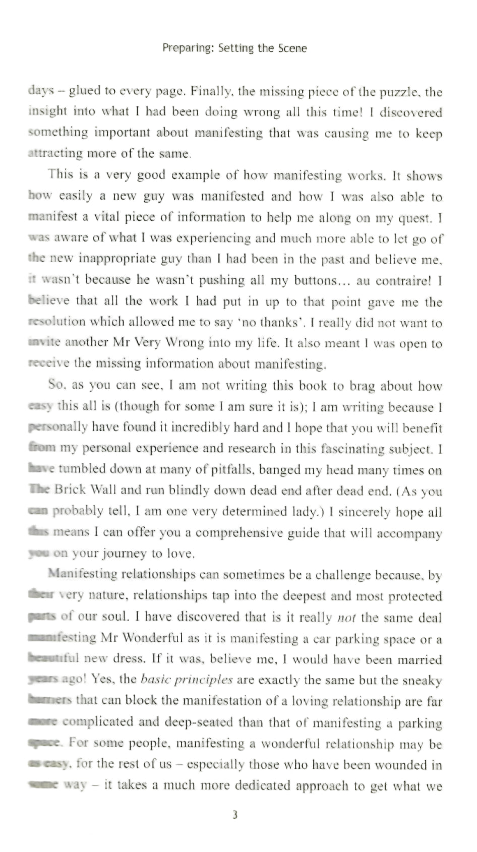 Manifesting Mr. Wonderful (2010)