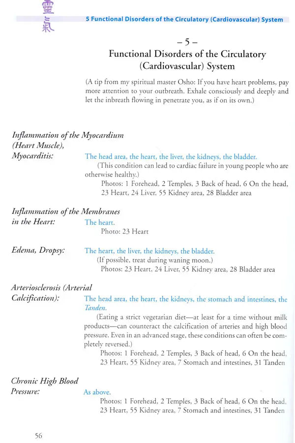 The Original Reiki Handbook of Dr. Mikao Usui