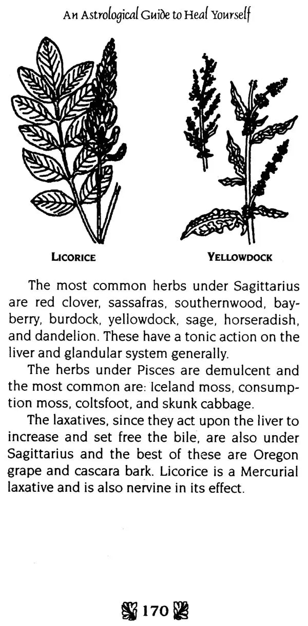 An Astrological Guide to Heal Your Self