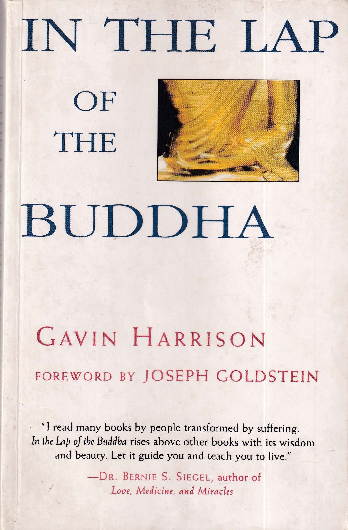 In The Lap Of The Buddha
