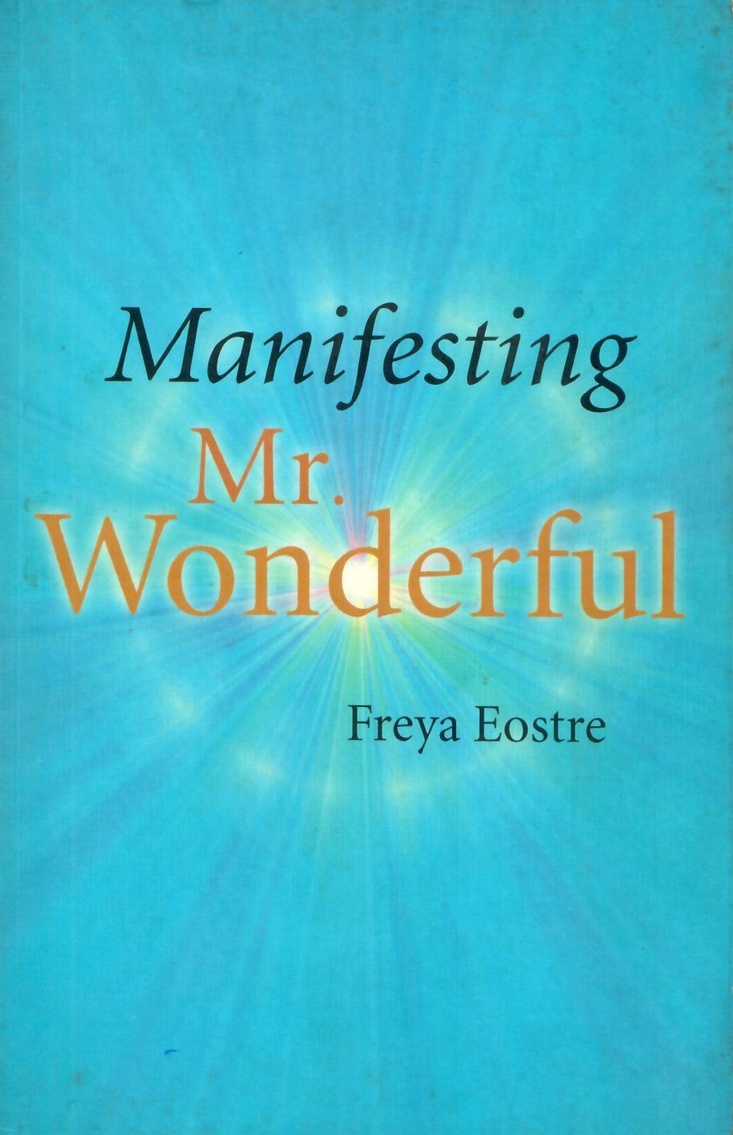 Manifesting Mr. Wonderful (2010)