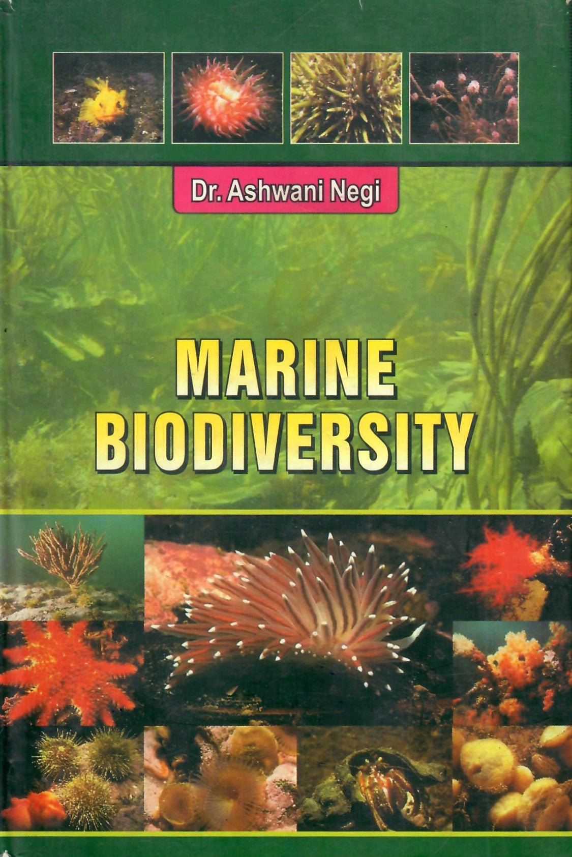 Marine Biodiversity (2006)