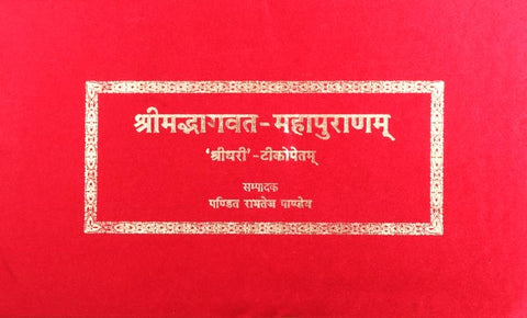 Shrimad Bhagwat Maha Purana Success (Single) by Pandit Ramtej Pandey