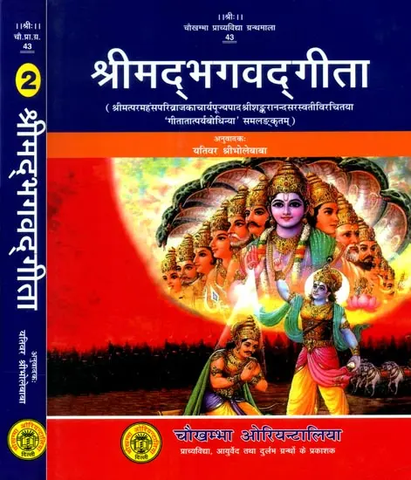 श्रीमद्भगवद्गीता,Shrimad Bhagavad Gita (in 2 Vol Set) by Yativar Bhole Baba