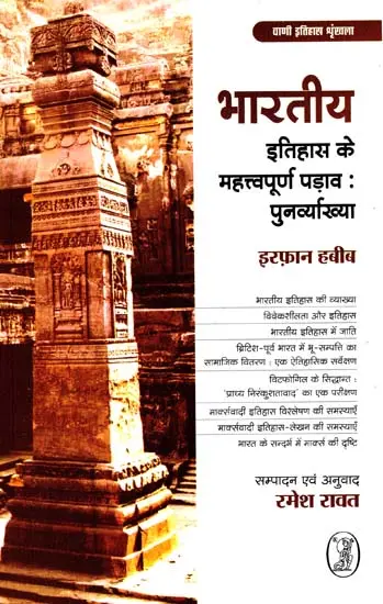 भारतीय इतिहास के महत्त्वपूर्ण पड़ाव: पुनर्व्याख्या by Irfan Habib