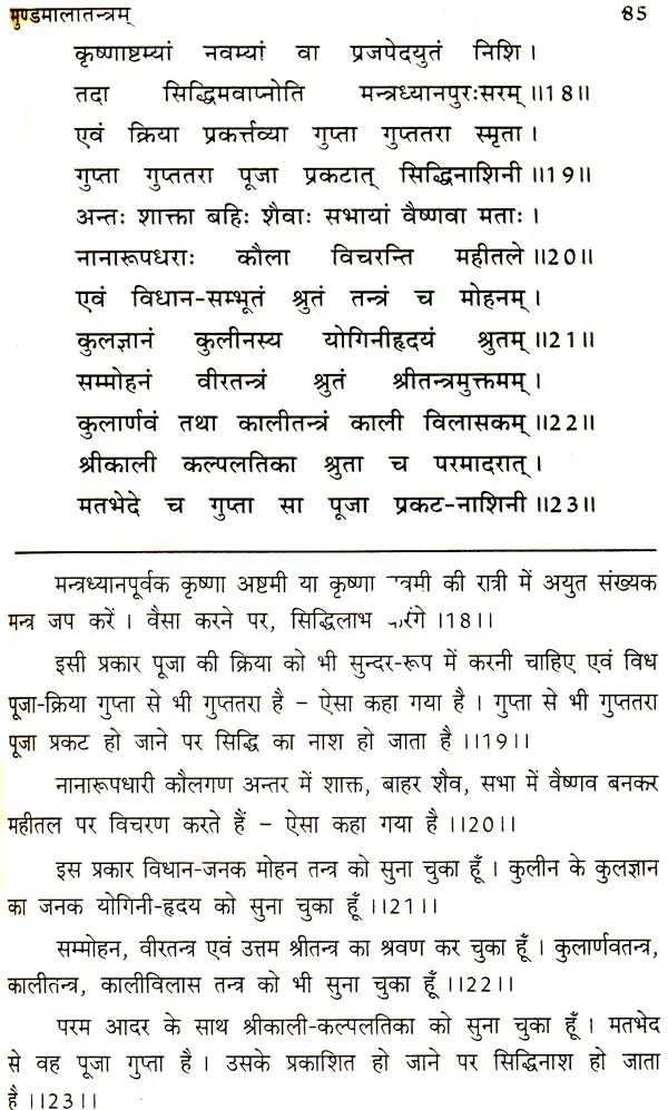 मुण्डमालातन्त्रम् - Mundamala Tantra
