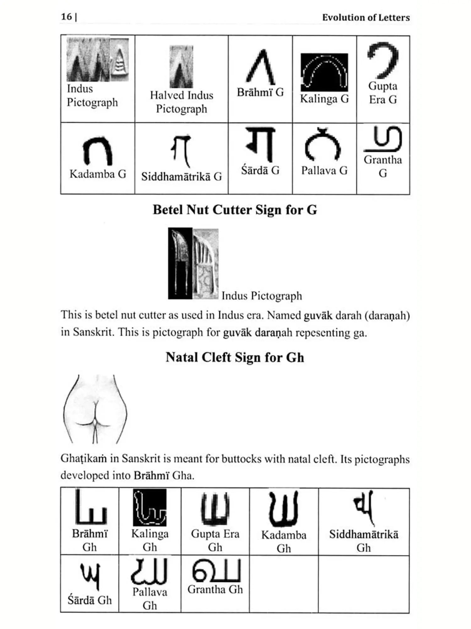 The Indus Script