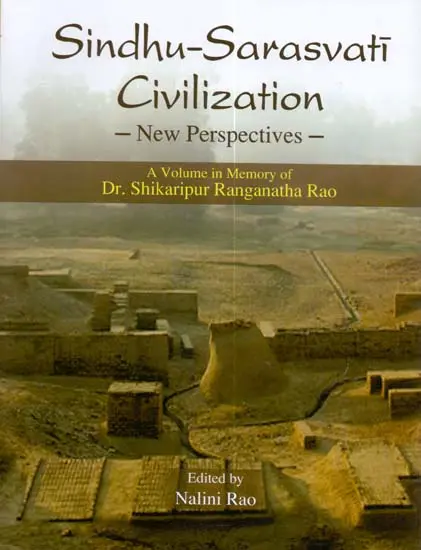 Sindhu-Sarasvati Civilization,New Perspective by Nalini Rao