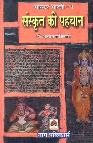 संस्कृत की पहचान: Essays on Sanskrit Literature by BHaskaracharya Tripathi