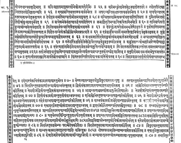 कालिकापुराणम्: Kalikauranam