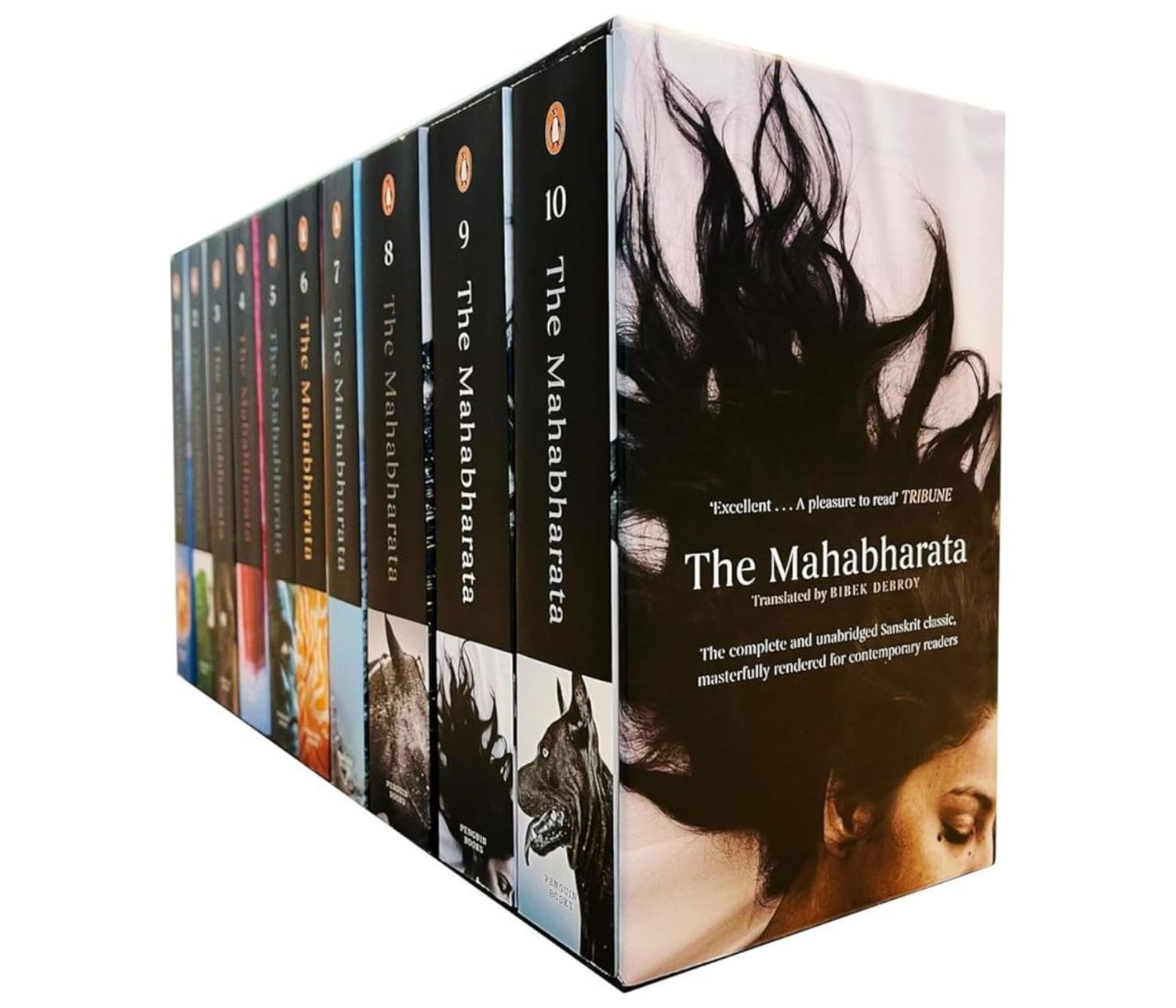 The Mahabharata: Complete and Unabridged (Set of 10 Volumes with Box) - Motilal Banarsidass author